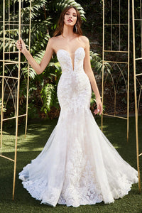 Nora Wedding Dress with Tulle Train and Lace accents on bodice